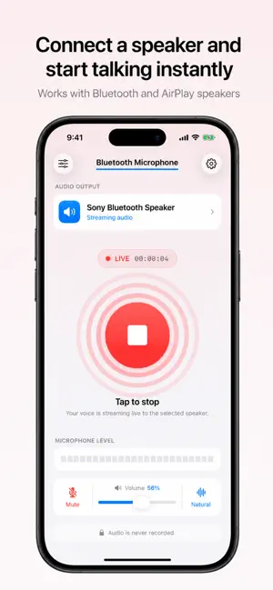 Bluetooth Microphone & Speaker screenshot 2