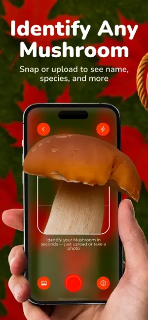 Mushroom Identifier - FWise screenshot 1