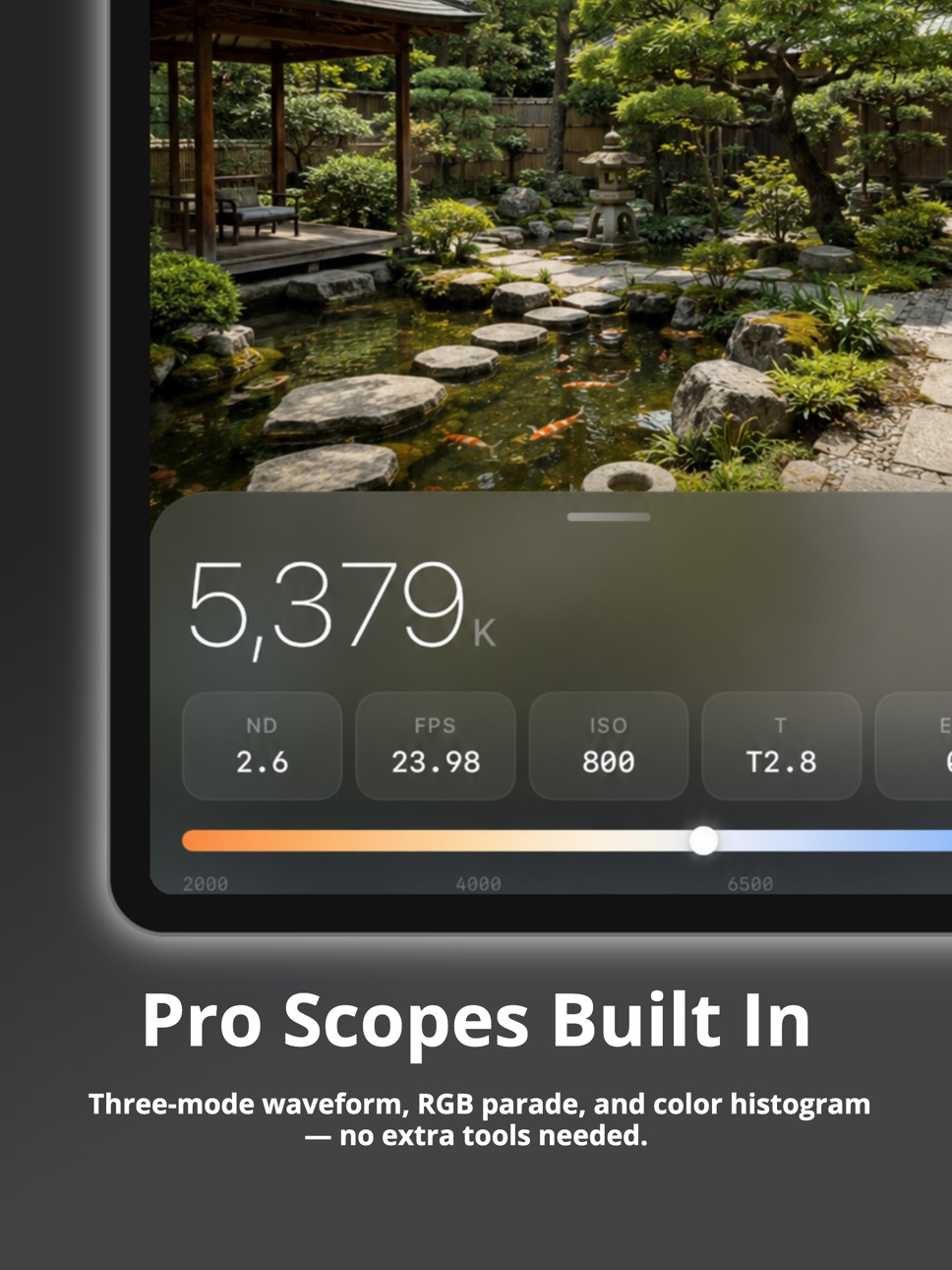 iPad screenshot
