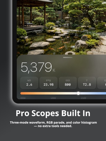 CineMeter Pro: Color Meter iPad screenshot