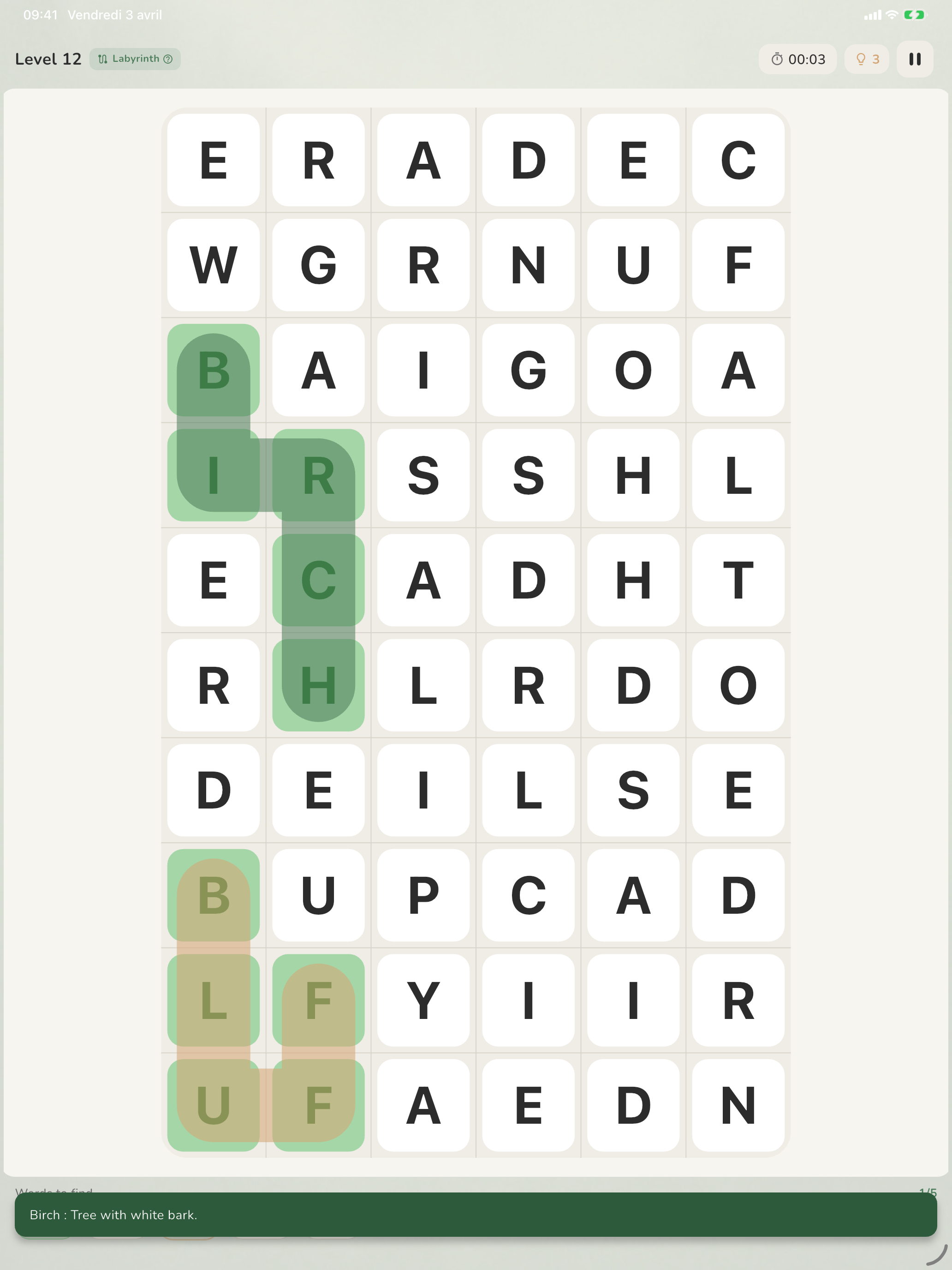 Word Search MoMethe
