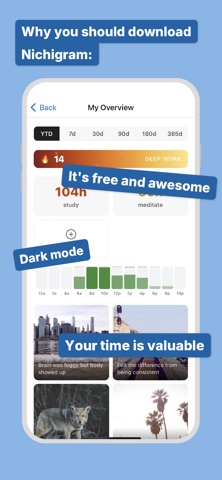 Nichigram screenshot