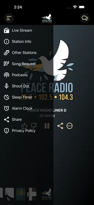 WLSI Peace Radio screenshot 3