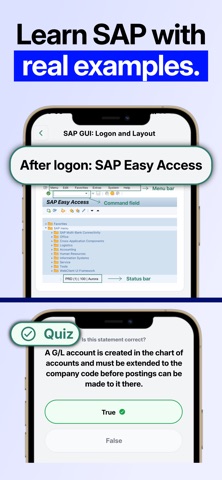 ERP Coach: Learn SAP Screenshot 3 of 10