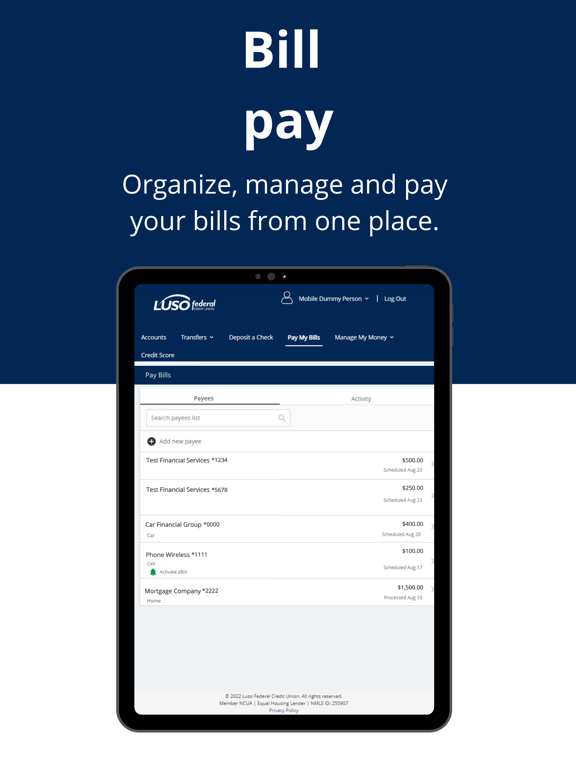 Luso FCU iMobile iPad screenshot 8 - Finance app