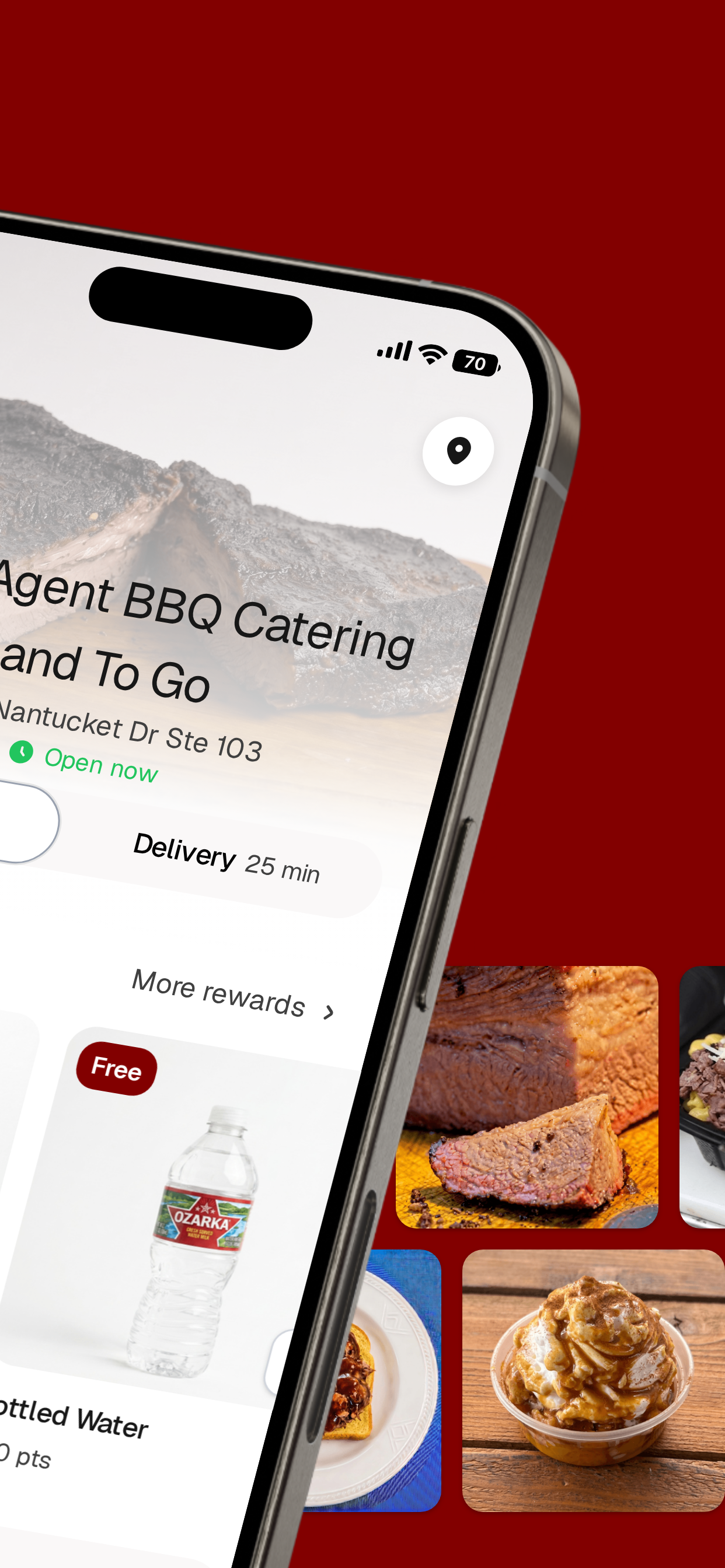 Secret Agent BBQ screenshot 2
