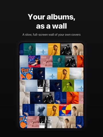 Sleeve: Album Player iPad screenshot 1