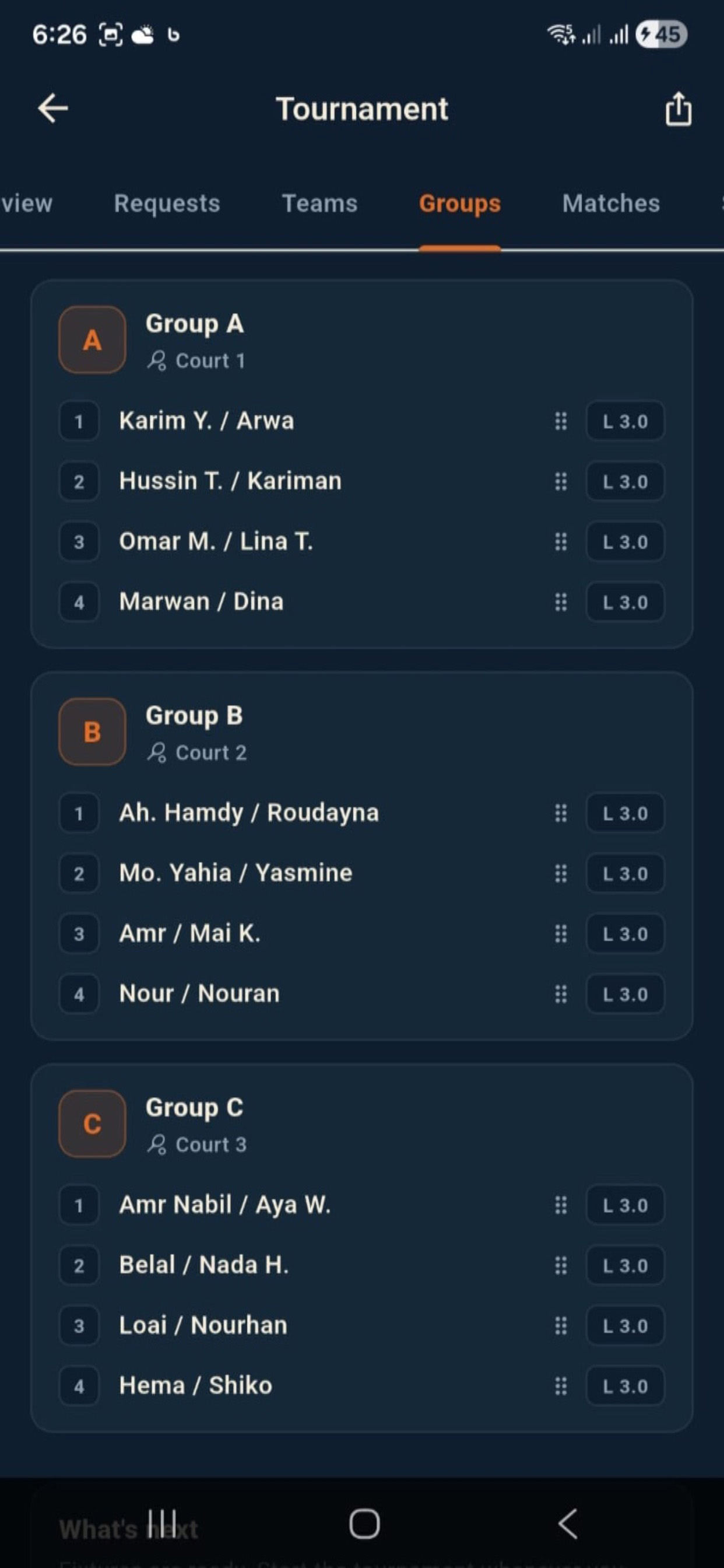 Padelite EG screenshot 5