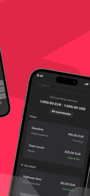 Native Teams Payments screenshot 4