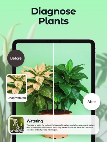 Plant Up: Identifier & Care iPad screenshot