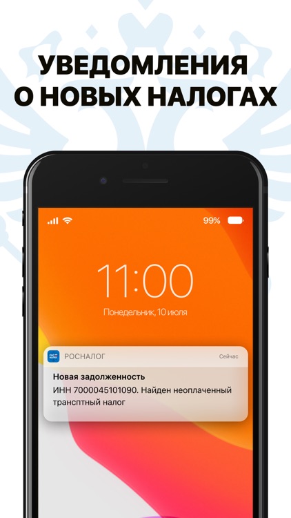 Рос Долги: Транспортный налог screenshot-6