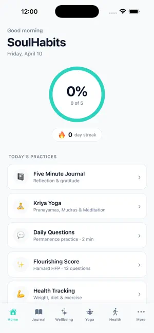 Soul Habits screenshot 2