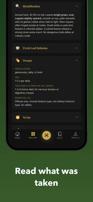 Nature's Lost Vault: Forage screenshot 3