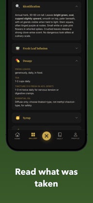 Nature's Lost Vault: Forage screenshot 3
