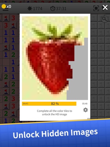 Minesweeper XL: Classic + Undo iPad screenshot