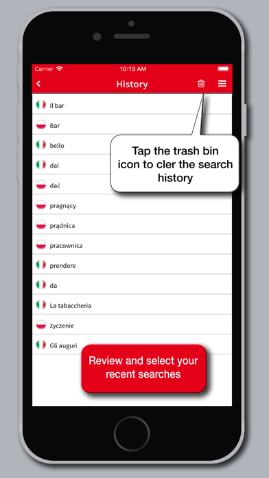 Hoepli Polish Dictionary Screenshot