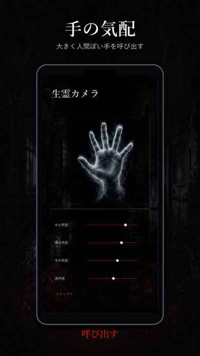 Screenshot #3 pour 生霊カメラ