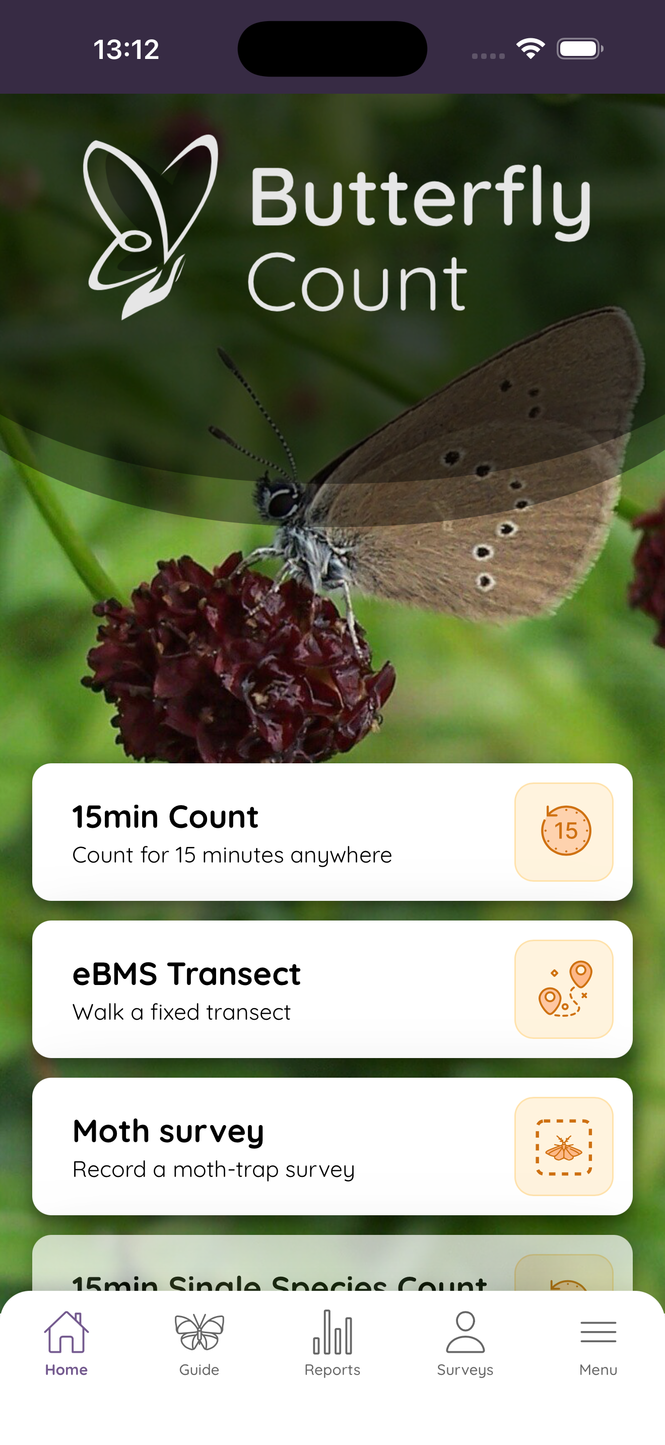 ButterflyCount