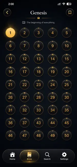 You Version Holy Bible App iPhone screenshot 4