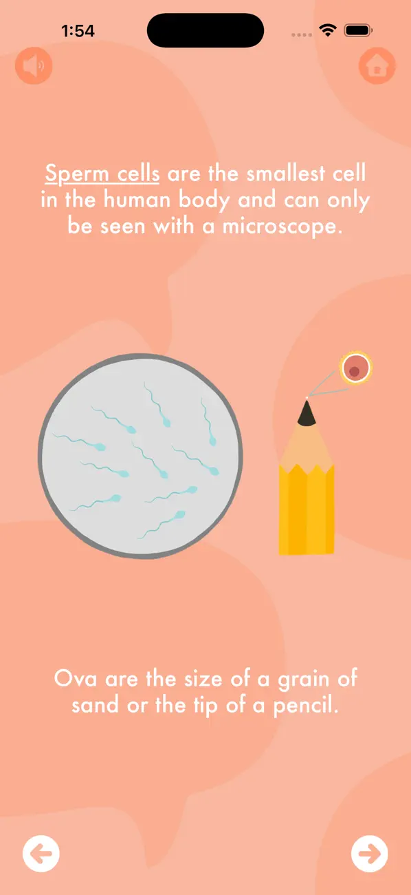 Screenshot #3 pour Body Talk For Kids