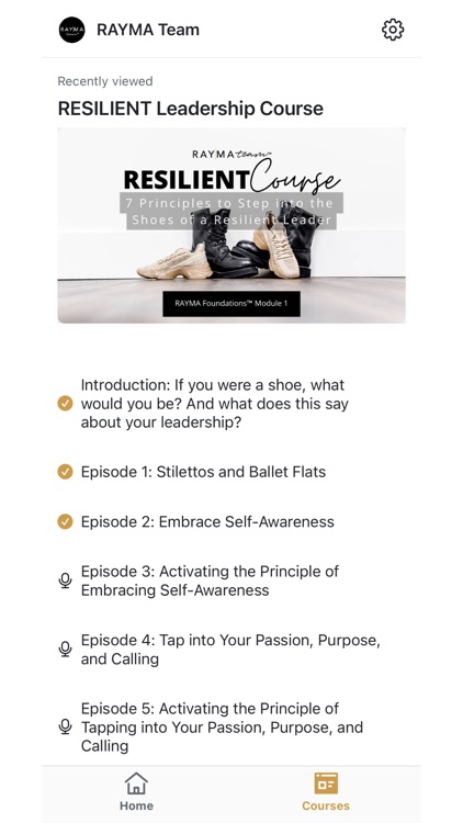 RAYMA Team screenshot-4