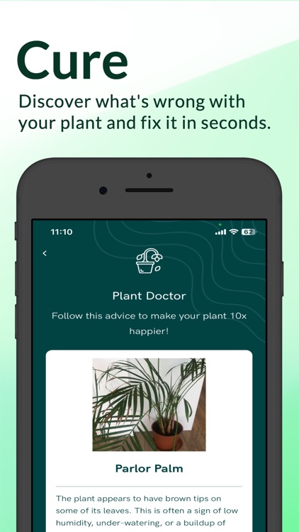Botanic Beam - Plant App