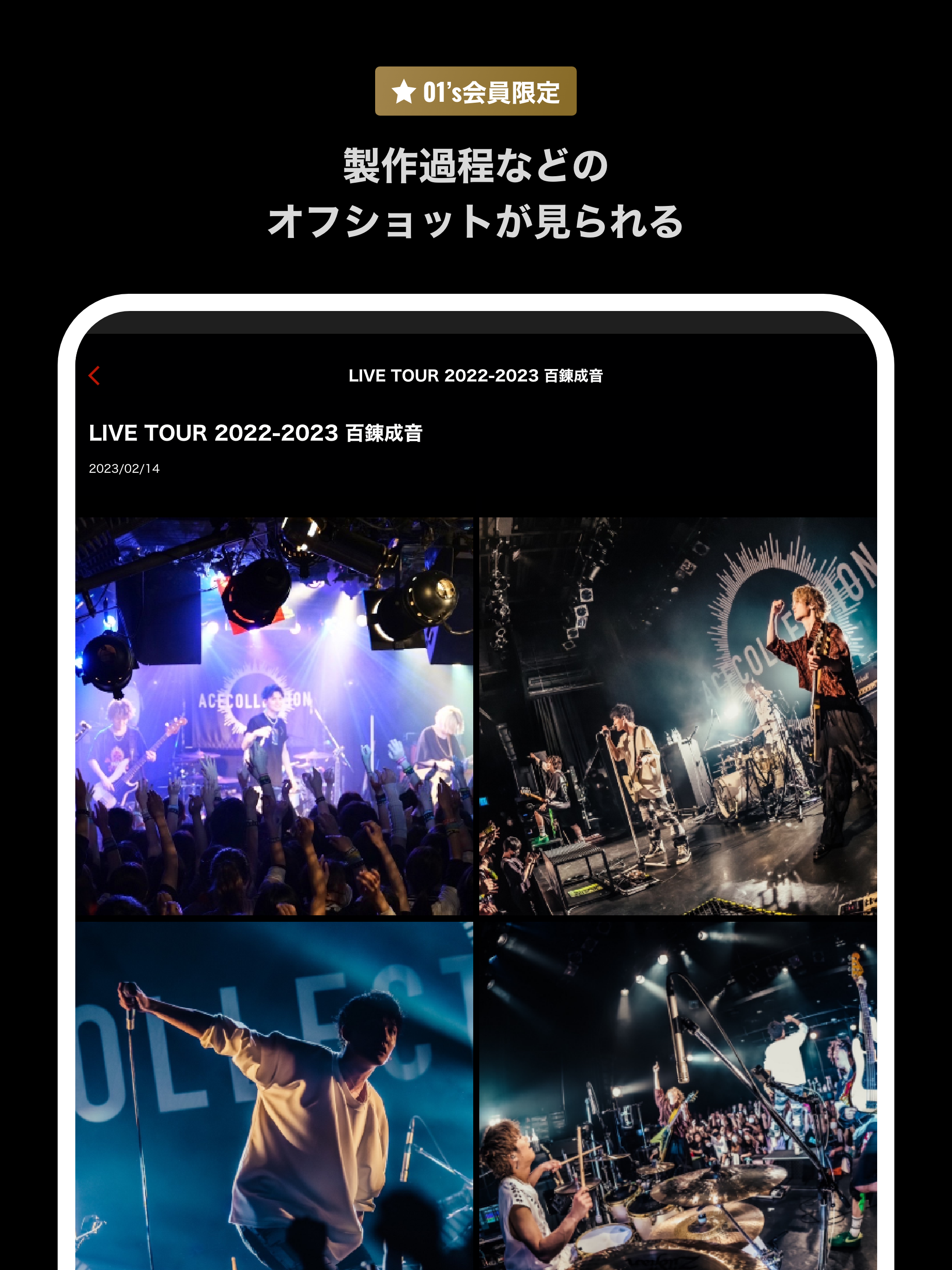 ACE COLLECTION OFFICIAL APP screenshot 6