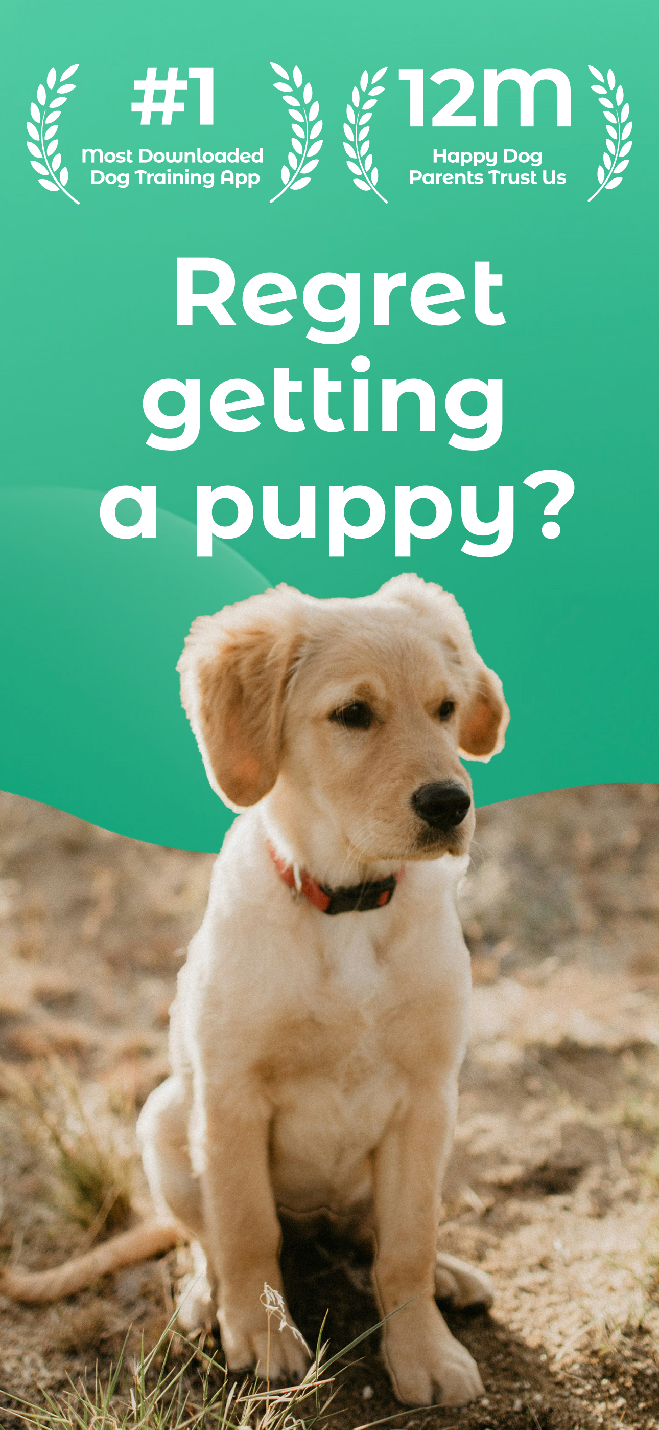 Dogo: Dog & Puppy Training