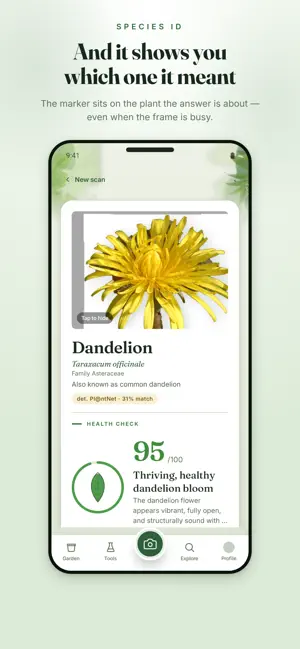 PlantRx: Plant Identifier screenshot 2