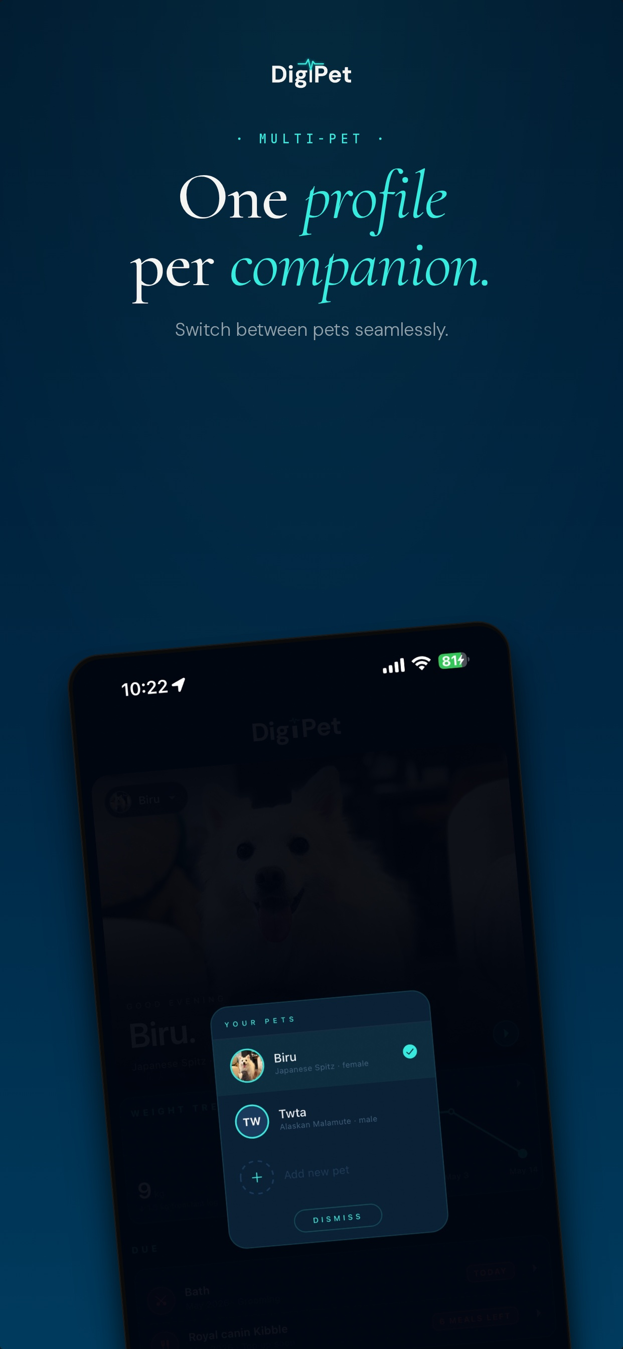 DigiPet: Pet Health Records