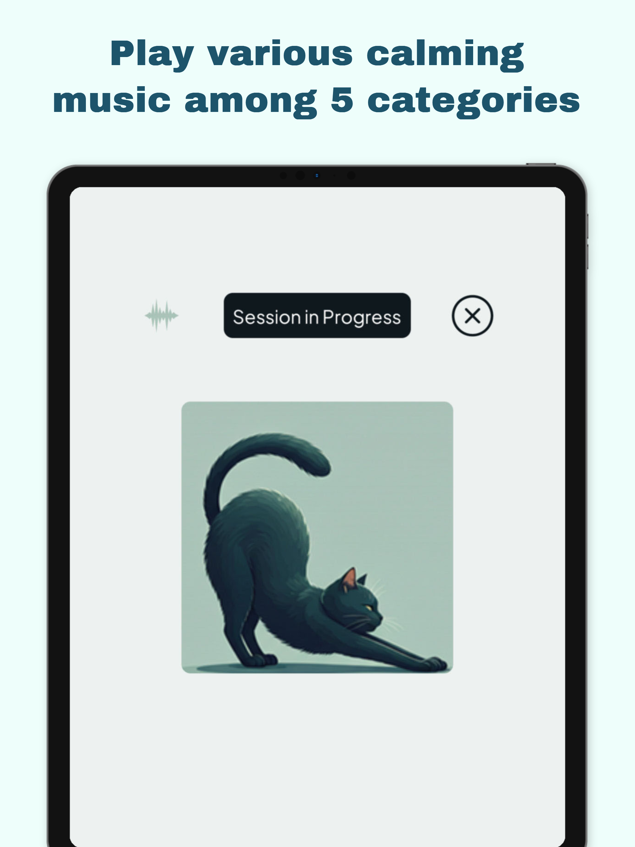 Calm Cat | Pet Anxiety Relief