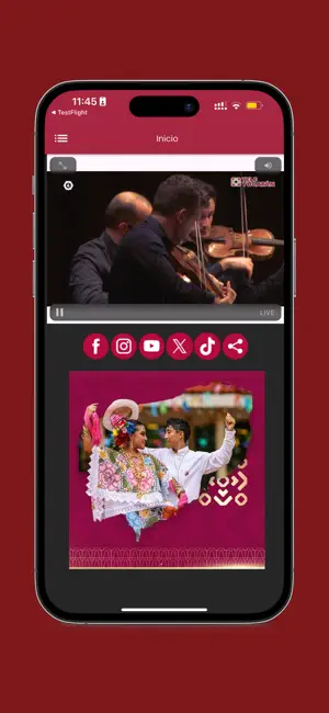 TELE YUCATÁN screenshot 2
