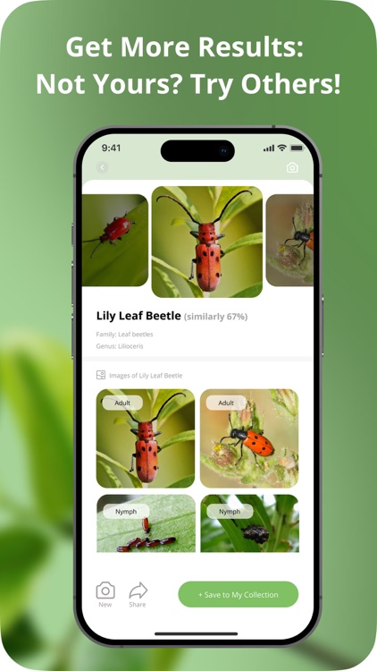 Identify Insect screenshot-4