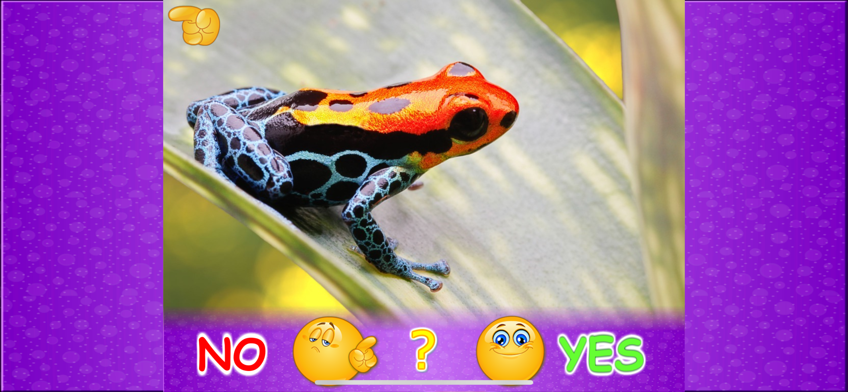 Animal picture games for kids screenshot 8