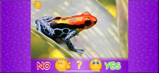 Animal picture games for kids iPhone screenshot