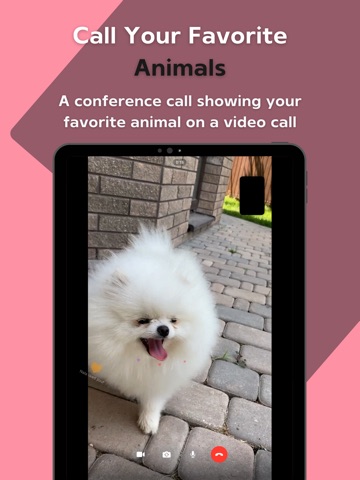 PetFace Live:Animal Video Call iPad screenshot