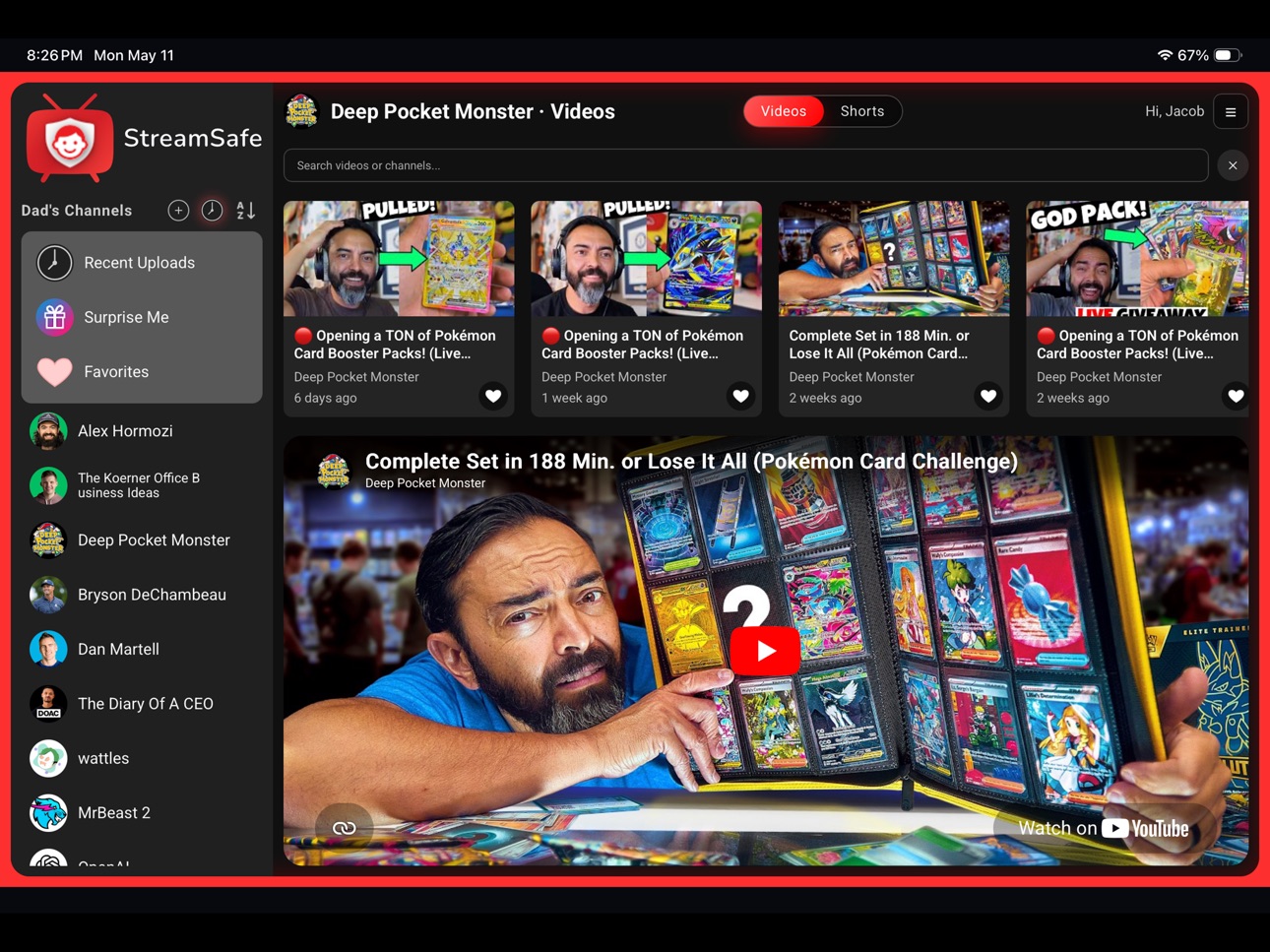 Screenshot 4 of StreamSafe
