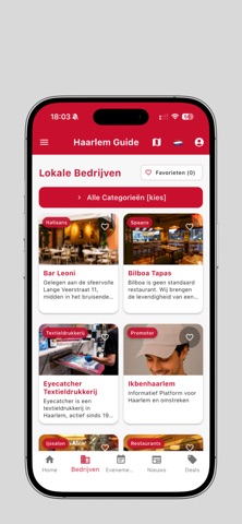 Haarlem Guide Screenshot 2 of 8
