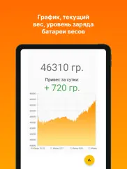Пасечные весы айпад изображения 1