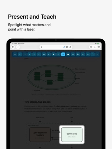 PageScribble for Safari iPad screenshot 3