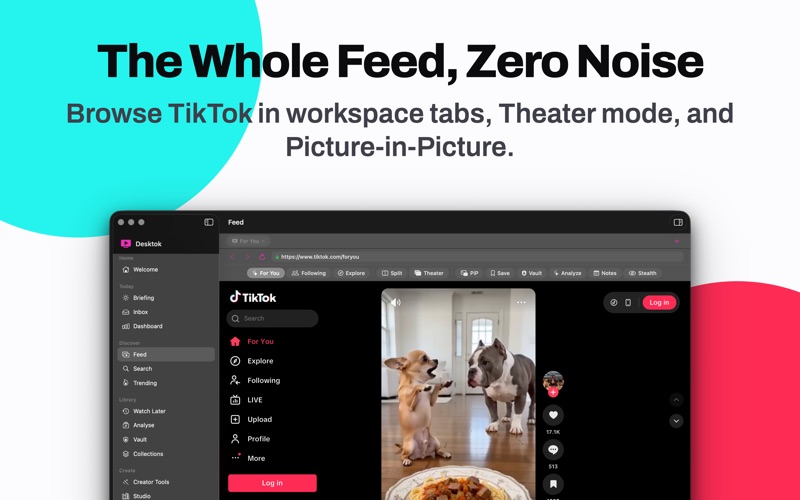 Desktop Client App for Tik Tok iPhone screenshot