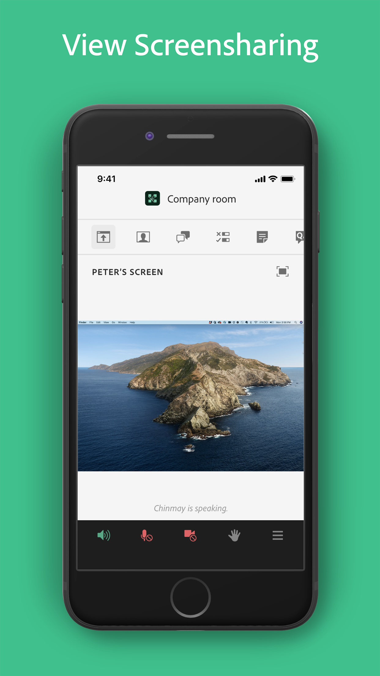 Adobe Connect screenshot 4