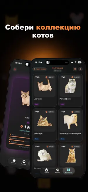 nekonet screenshot 3