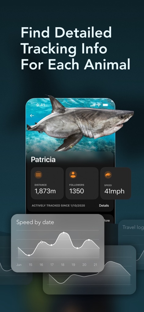 OCEARCH Shark Tracker™ - Gli utenti possono esplorare profili individuali degli animali, come quello dello squalo 'Patricia', che include dati sulla distanza percorsa e un grafico che mostra la sua velocità nel tempo.