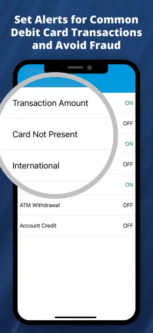 cPort Debit Card Control screenshot 2