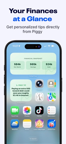 DollarFlow: Net Worth Tracker Screenshot 5 of 8