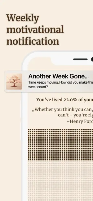 Lifetime Ahead: Visualize Life screenshot 4