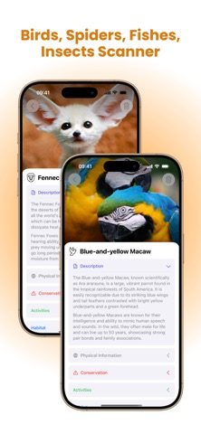 Animal Identifier - Idenimal iPhone screenshot