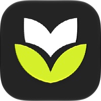 Monivera: Auto Expense Tracker
