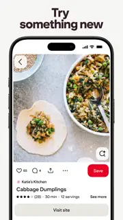 Pinterest screenshot 5